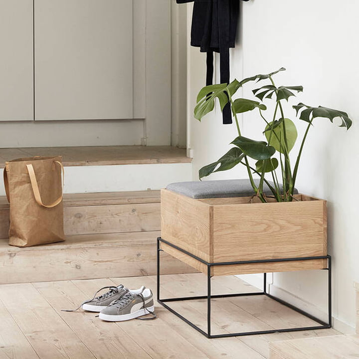 Siddende, planter, dekoration: stilfuldt design i gangen