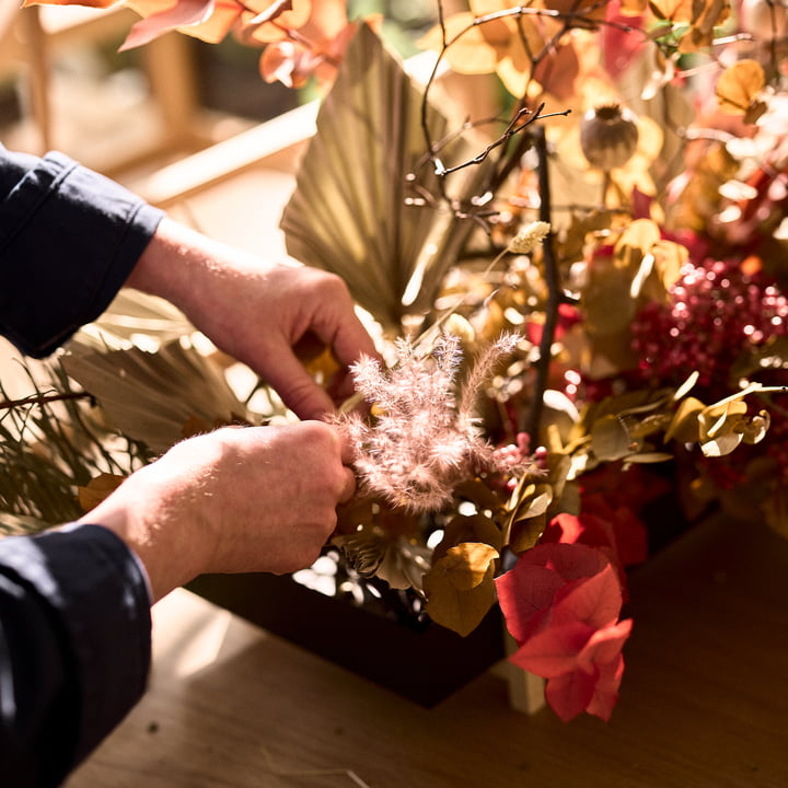 Botanic Tray fra Design House Stockholm til hobbygartnere: indeni