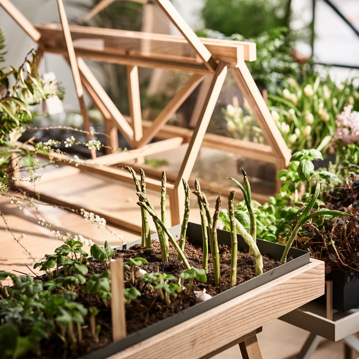 Greenhouse fra Design House Stockholm giver plads til naturen