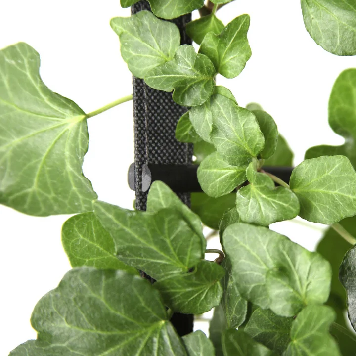 Urban Garden plantetaske fra Authentics med vedbend