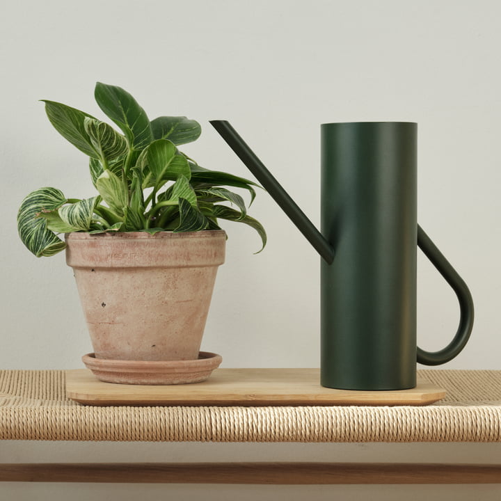 Bloom vandkande 2 l i pine fra Stelton