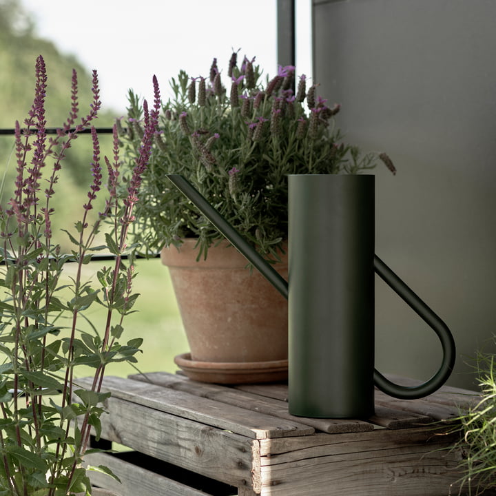 Bloom vandkande 2 l i pine fra Stelton