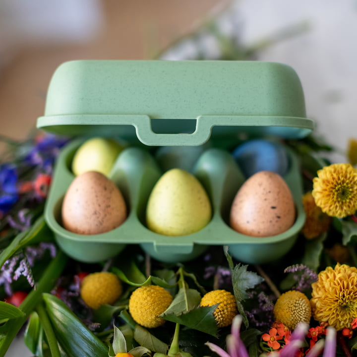 Eggs to go leaf green ægbeholder mini, nature fra Koziol