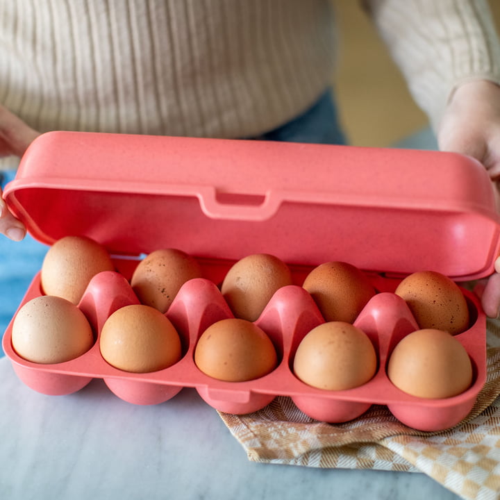 Eggs to go coral nature Koziol