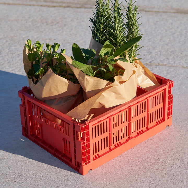 Colour Crate kurv recycled M fra Hay i farven red