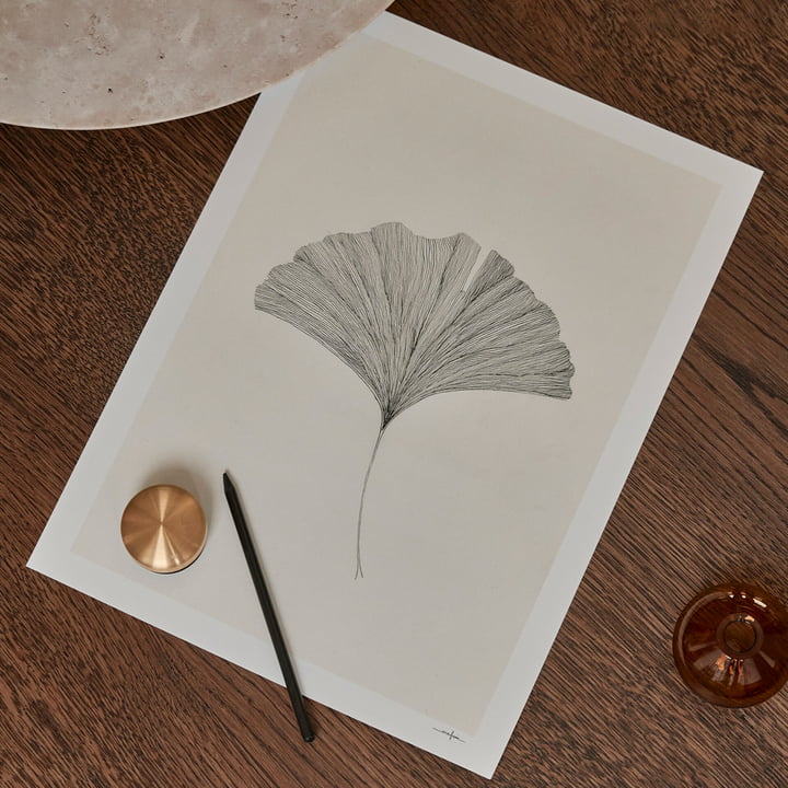 Ginkgo Leaf af Ana Frois fra The Poster Club