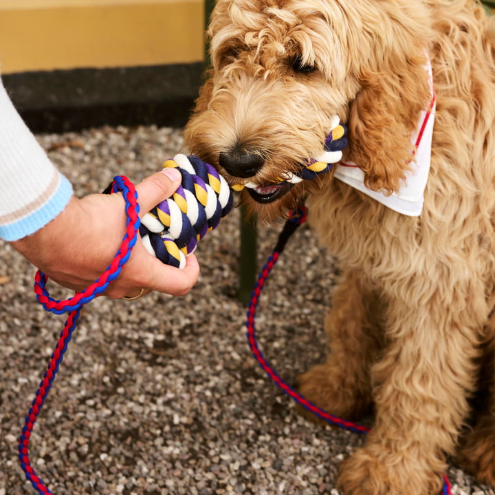 Dogs Rope legetøj, blå / lilla / okker fra Hay