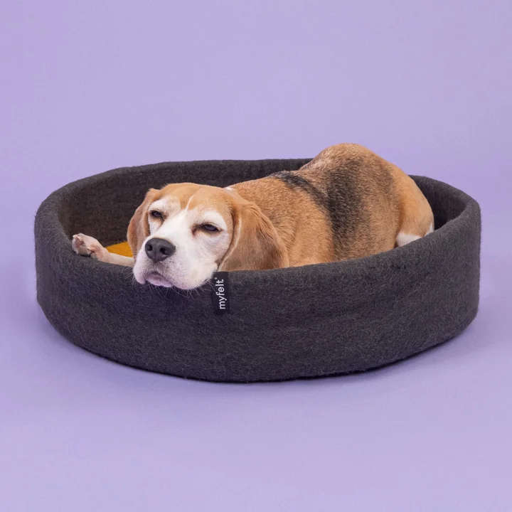 Kuno hundekurv, Ø 60 cm, indlæg okkergul fra myfelt