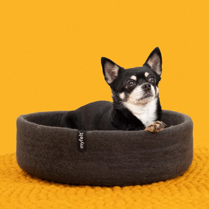 Kuno hundekurv, Ø 40 cm fra myfelt