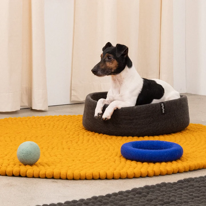 Kuno hundekurv, Ø 40 cm fra myfelt