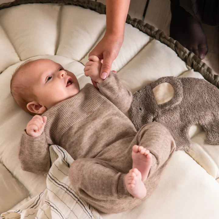Sebra - 3-i-1 babynest