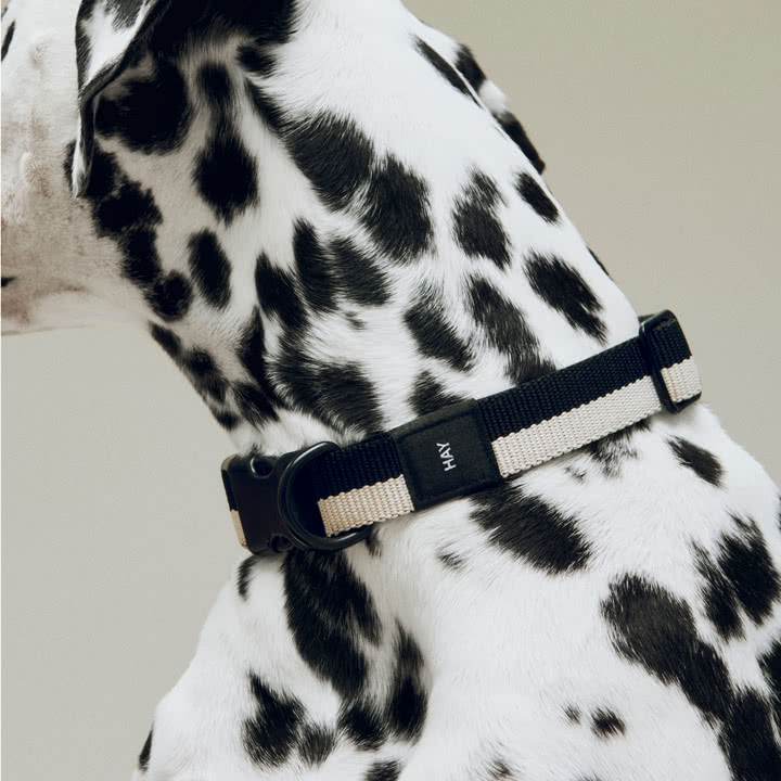 HAY - Dogs, M/L, sort/hvid