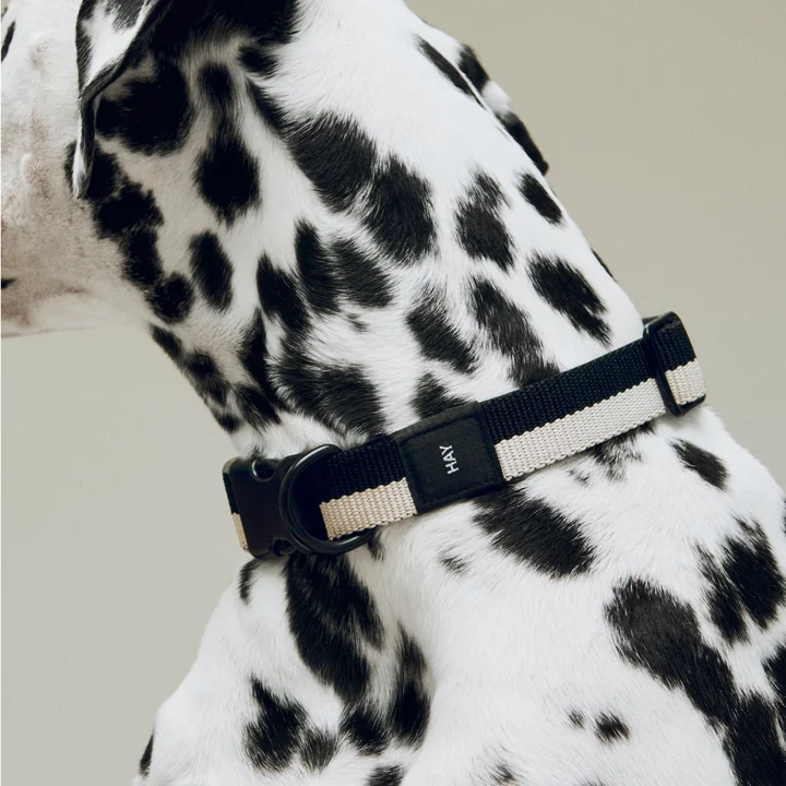 HAY - Dogs, M/L, sort/hvid