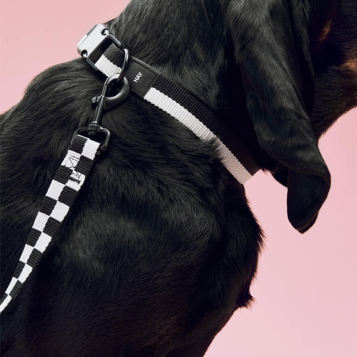 HAY - Dogs, M/L, hundesnor M/L Ternet, sort/hvid