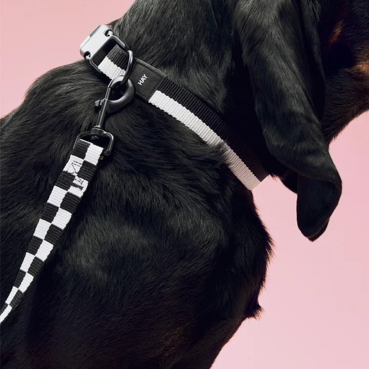 HAY - Dogs, M/L, hundesnor M/L Ternet, sort/hvid