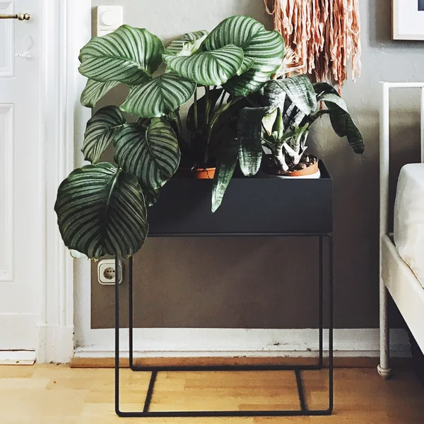 Ferm Living - Plant Box, sort