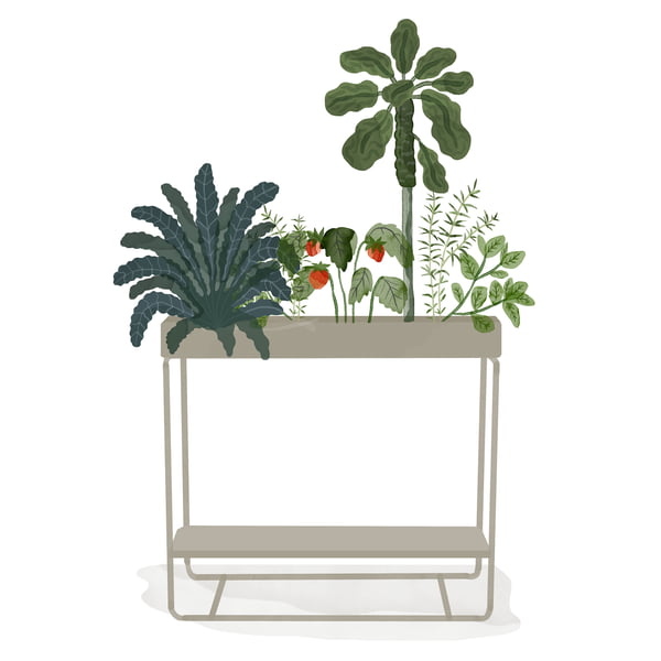 ferm Living _ Plant Box - to niveauer - akvarel