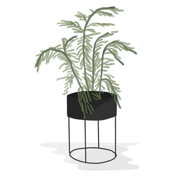 ferm Living _ Plant Box - rund - sort - akvarel