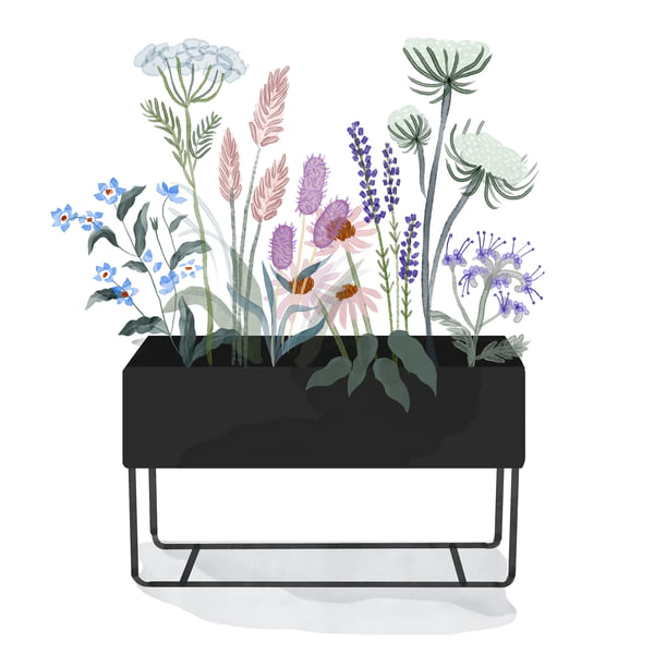 ferm Living _ Plant Box - stor - sort - akvarel