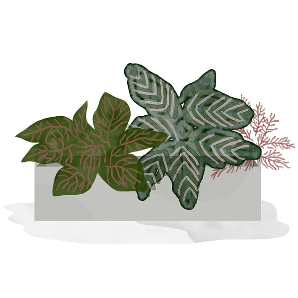 ferm Living - Plant Box lille - lysegrå - akvarel - mosaikplante